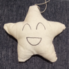 A five pointed white star with a grinning face on it