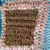 dark brown and gold variegated centre with base, pink, and white variegated border